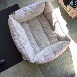Free Dog / Cat Bed