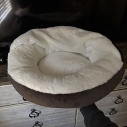 Camila De Perro Pequeño 