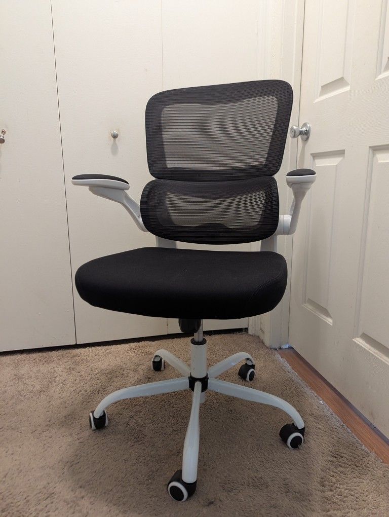 Ergonomic Chair With Adjustable Lumbar Support