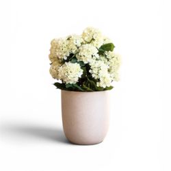 Nearly Natural Faux Hydrangea 35” Floor Plant Lifelike Indoor or Outdoor New In Box