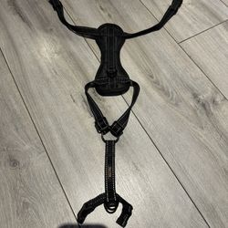 Puppy Small Dog Collar Harness
