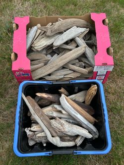 Large Lot of Natural Driftwood Pieces