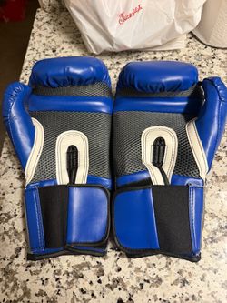 EverLast Boxing Gloves