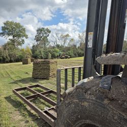 St Agustine Grass Pallets