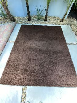 Chocolate BROWN Carpet 8x10 200$