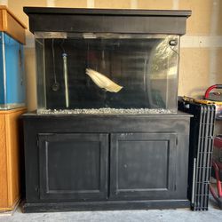 Fish Tank Aquarium With Canopy