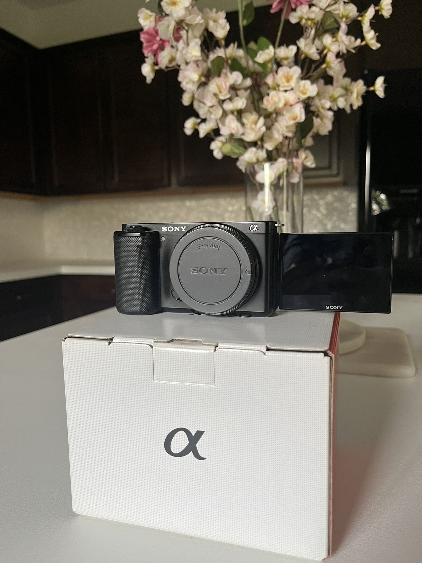 Sony ZVE10