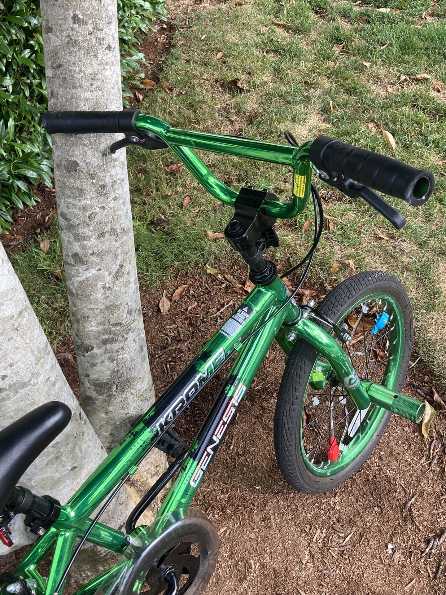 Genesis Krome 18 Kids BMX Bike In chrome green for Sale in Snohomish WA OfferUp