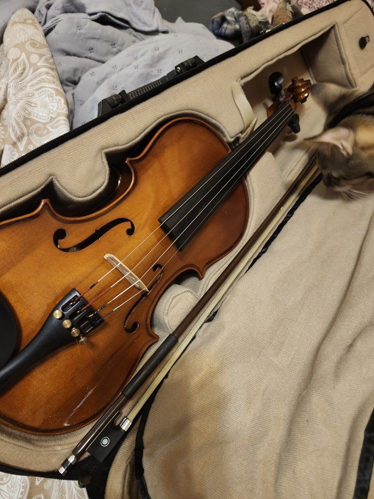 Violin Beginner Friendly