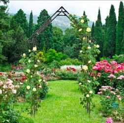 Gothic Abor Trellis with Reinforced Frame