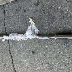 Olympic Curl Bar