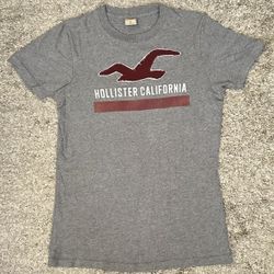 Hollister California Men’s S Gray Crew Neck Embroidered Seagull S/S T-Shirt