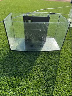 10 gallon fish tank
