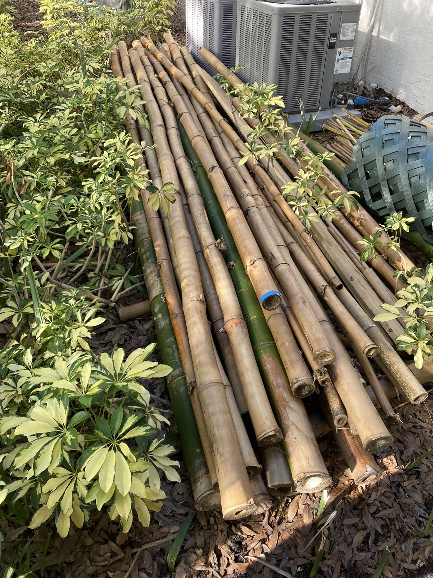 Bamboo Lumber  - By The Pack Or Pole