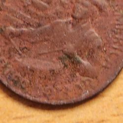 quarter dollar copper 1976 vicentenary 