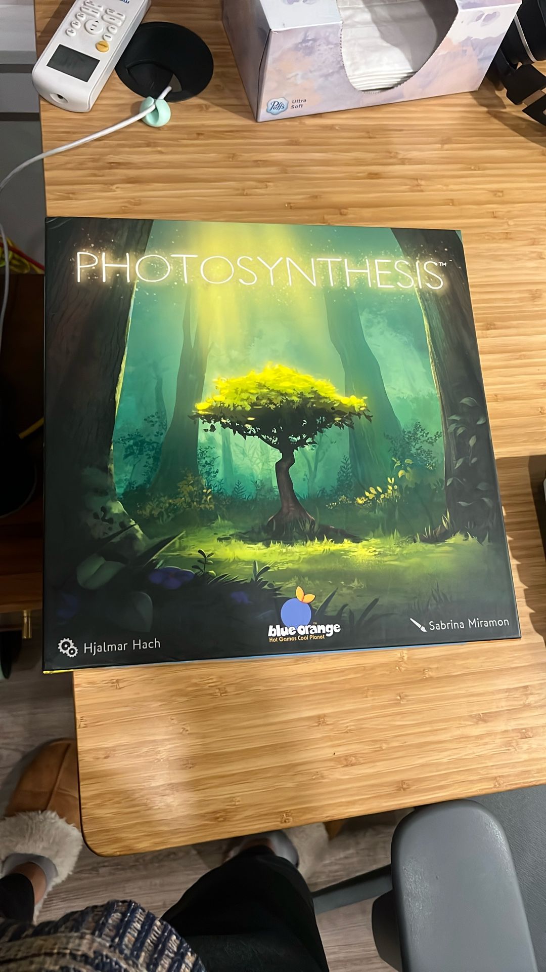 Photosynthesis Board Game 