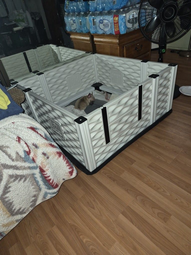 Whelping Box 