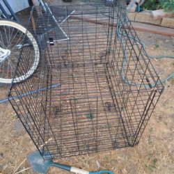 Cage Barata