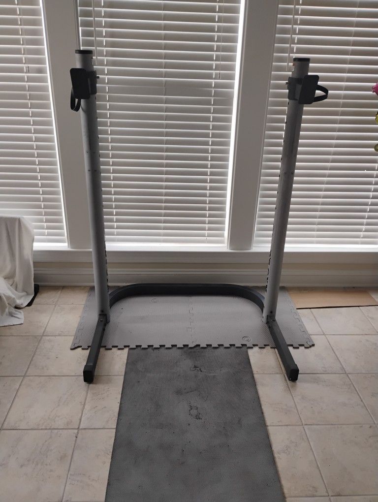 Gold Gym Squats Rack