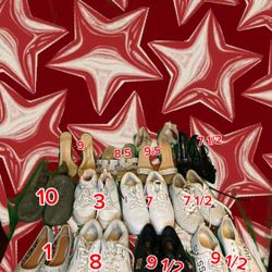 14 Pairs Of Shoes