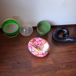 Bed *Tube *Ball and exercise  Wheel 