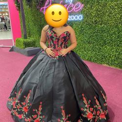 Quinceañera Dress 
