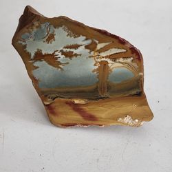 Owyhee Picture Jasper