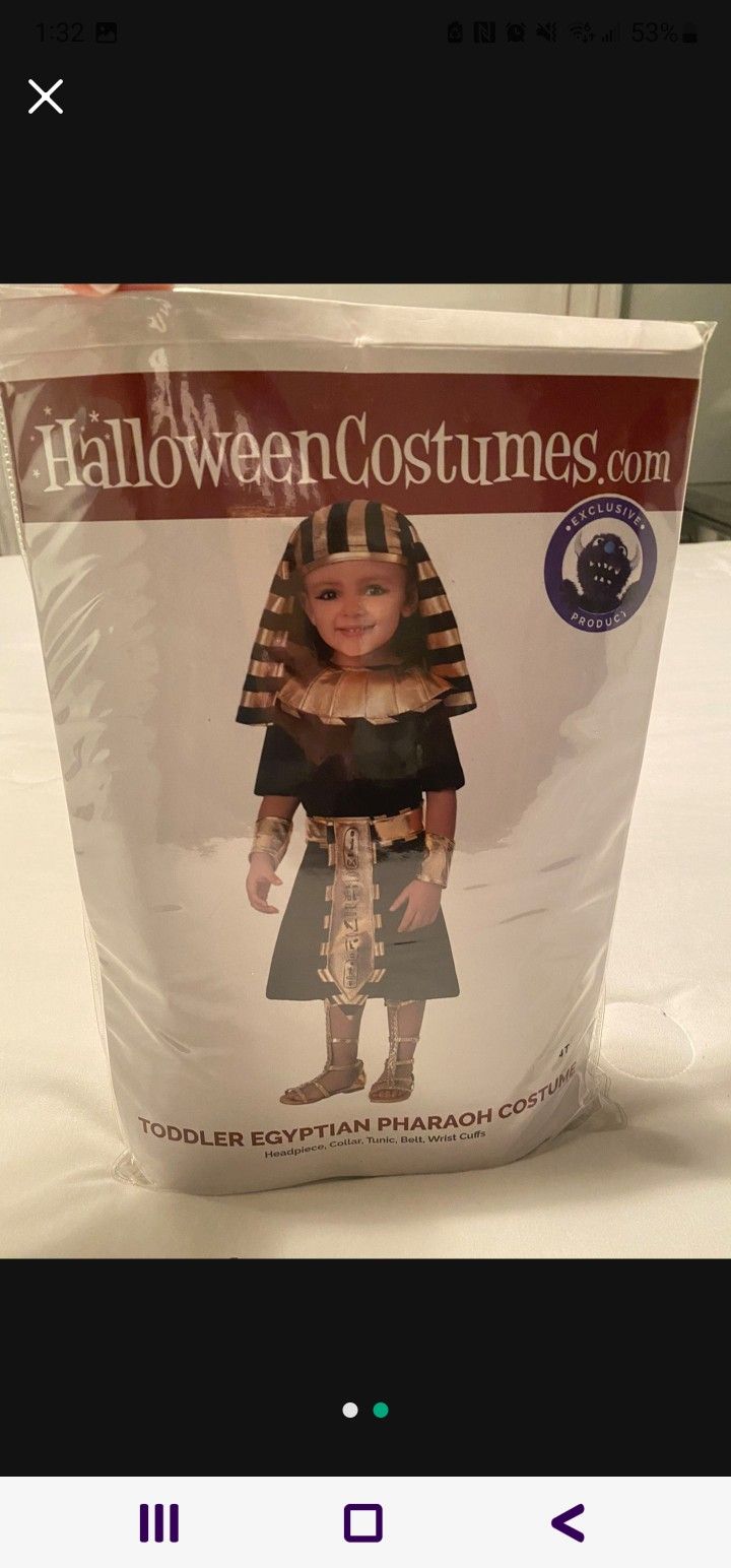 Egyptian Toddler Costume 4T