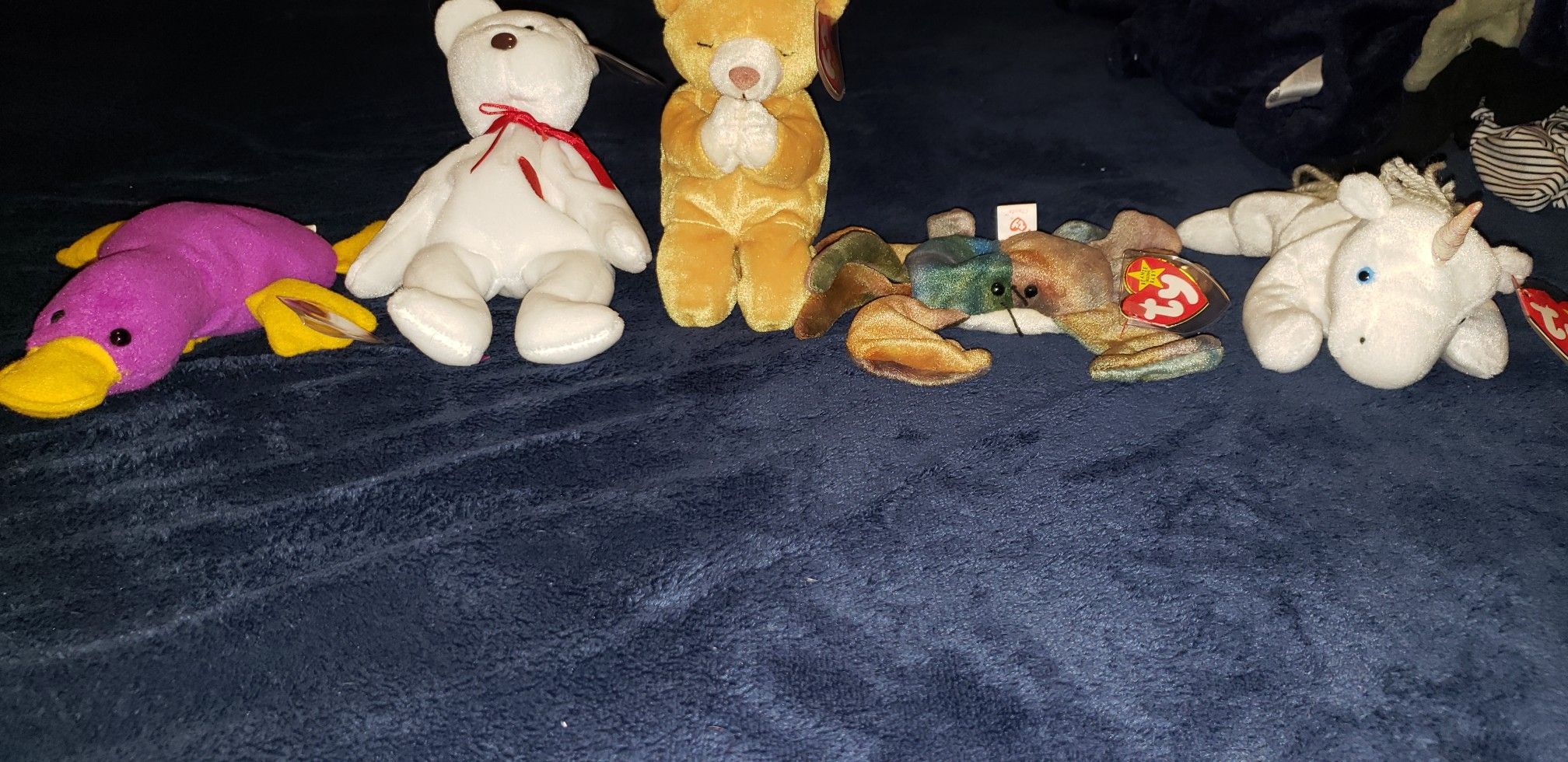 Beanie baby first edition with errors!!