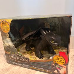 How to train your Dragon Tame and train toothless figure