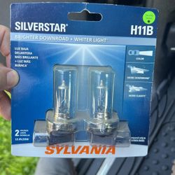 H11b Brand New