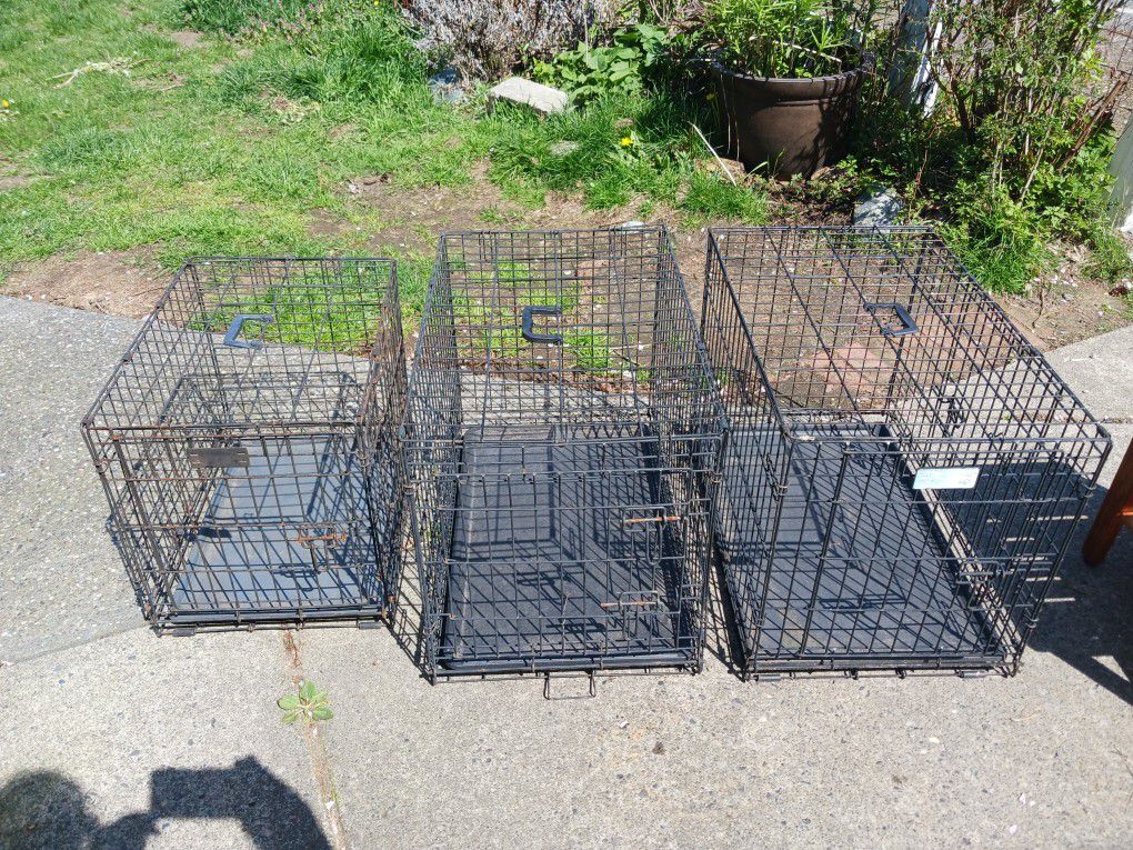 Dog And Pet Kennels 3 Available 35 Each Meta Wirel 