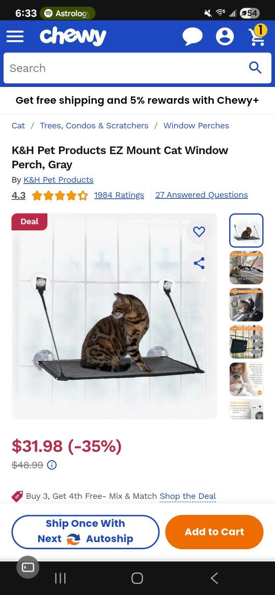 Cat Window Perch