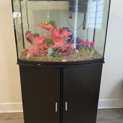 Selling a top fin bowfront aquarium & stand ensamble!