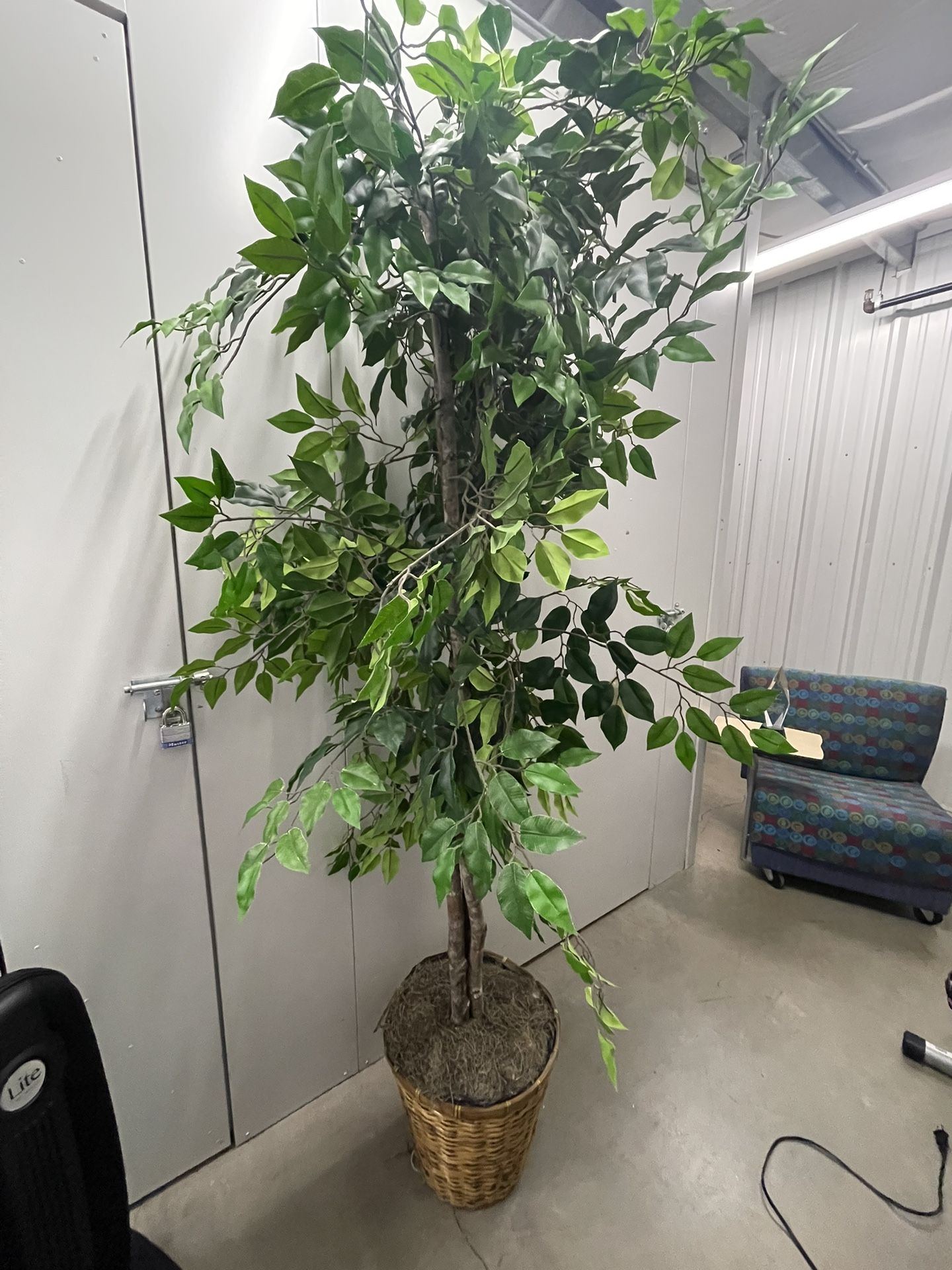 Fake House Plant For Sale