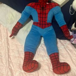 Spider 
