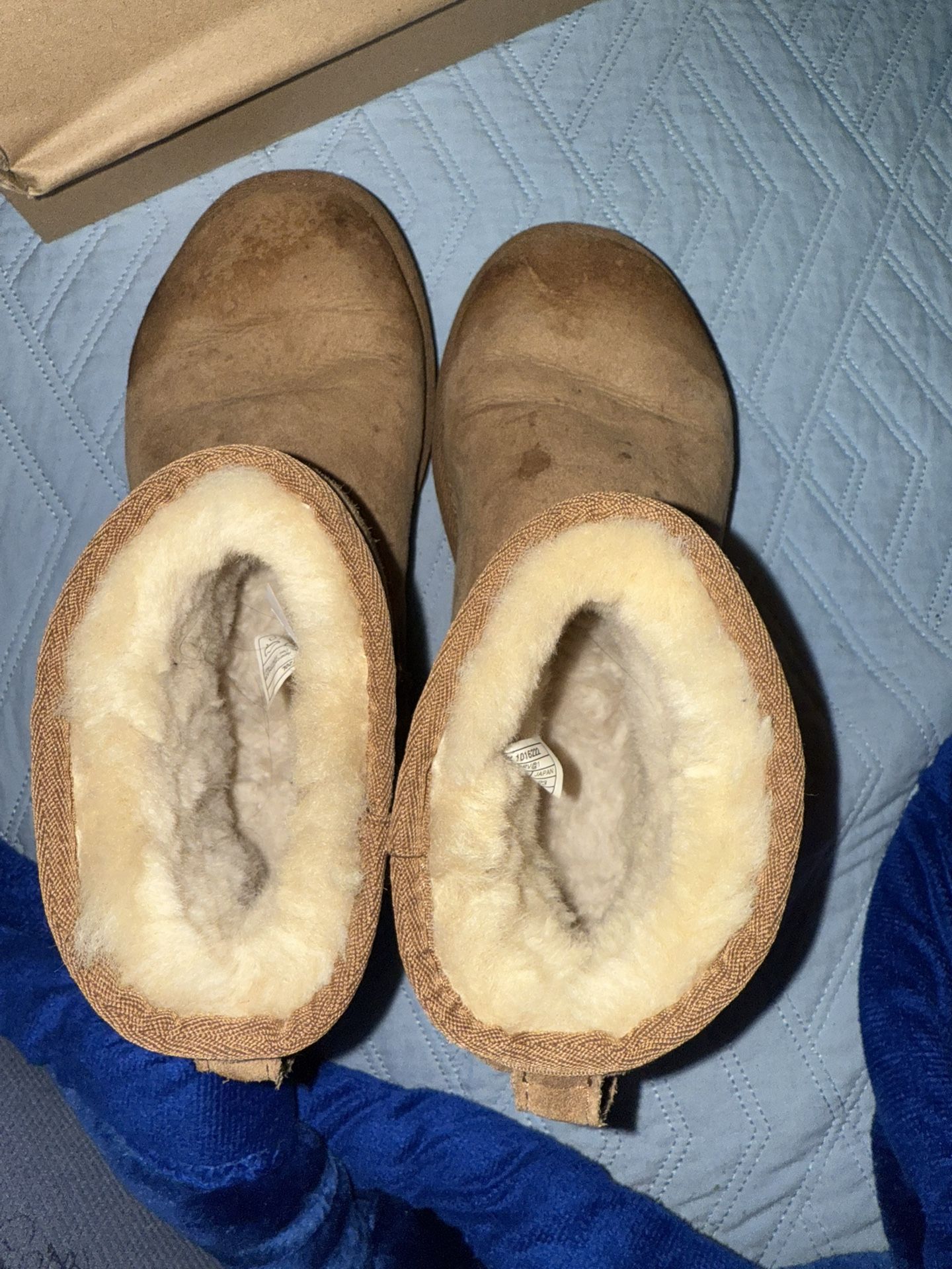 Uggs Boots