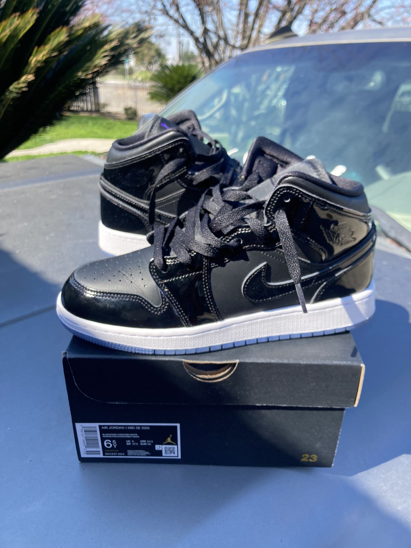 Air Jordan 1s Space Jams