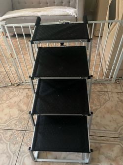 Puppies stairs