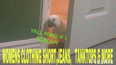 Women's clothing skirts jeans shorts tank tops dresses tops