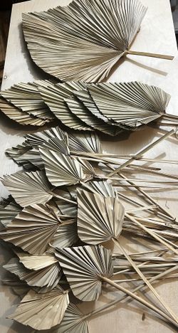 Palm Leaves variety- 37 Total