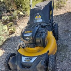 DeWalt Gas Lawn Mower (21 Inch, 163cc Briggs and Stratton Engine, 725exi)
