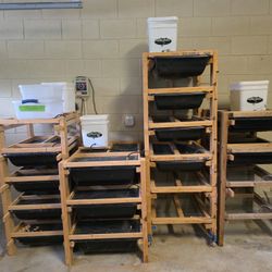 Rat Racks