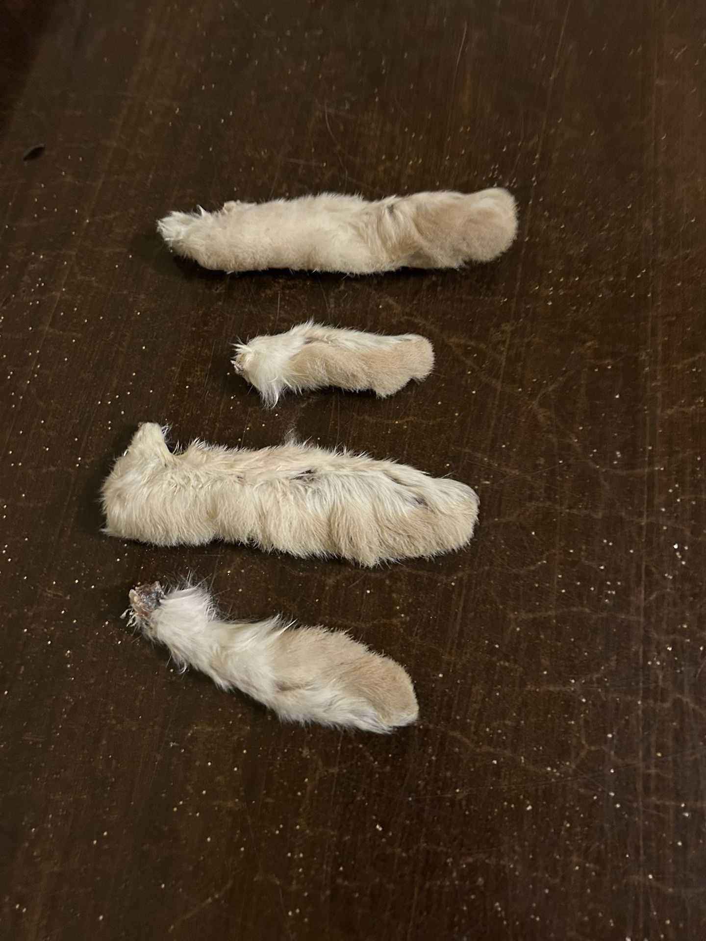 Dried Rabbit Feet
