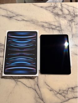 iPad Pro (11-inch) (4th Generation) + Apple Pencil
