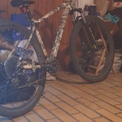 Ozark Trail Bike 