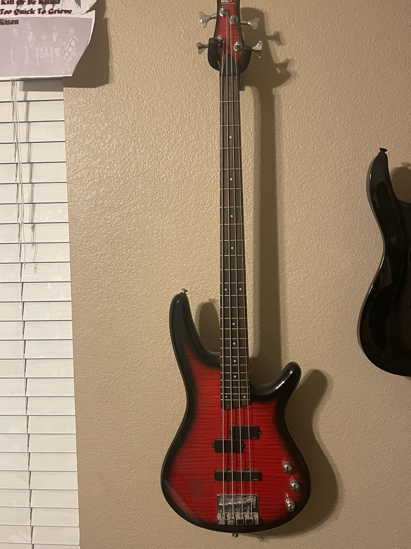 Ibanez Bass Guitar