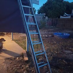 20 Ft. Ladder