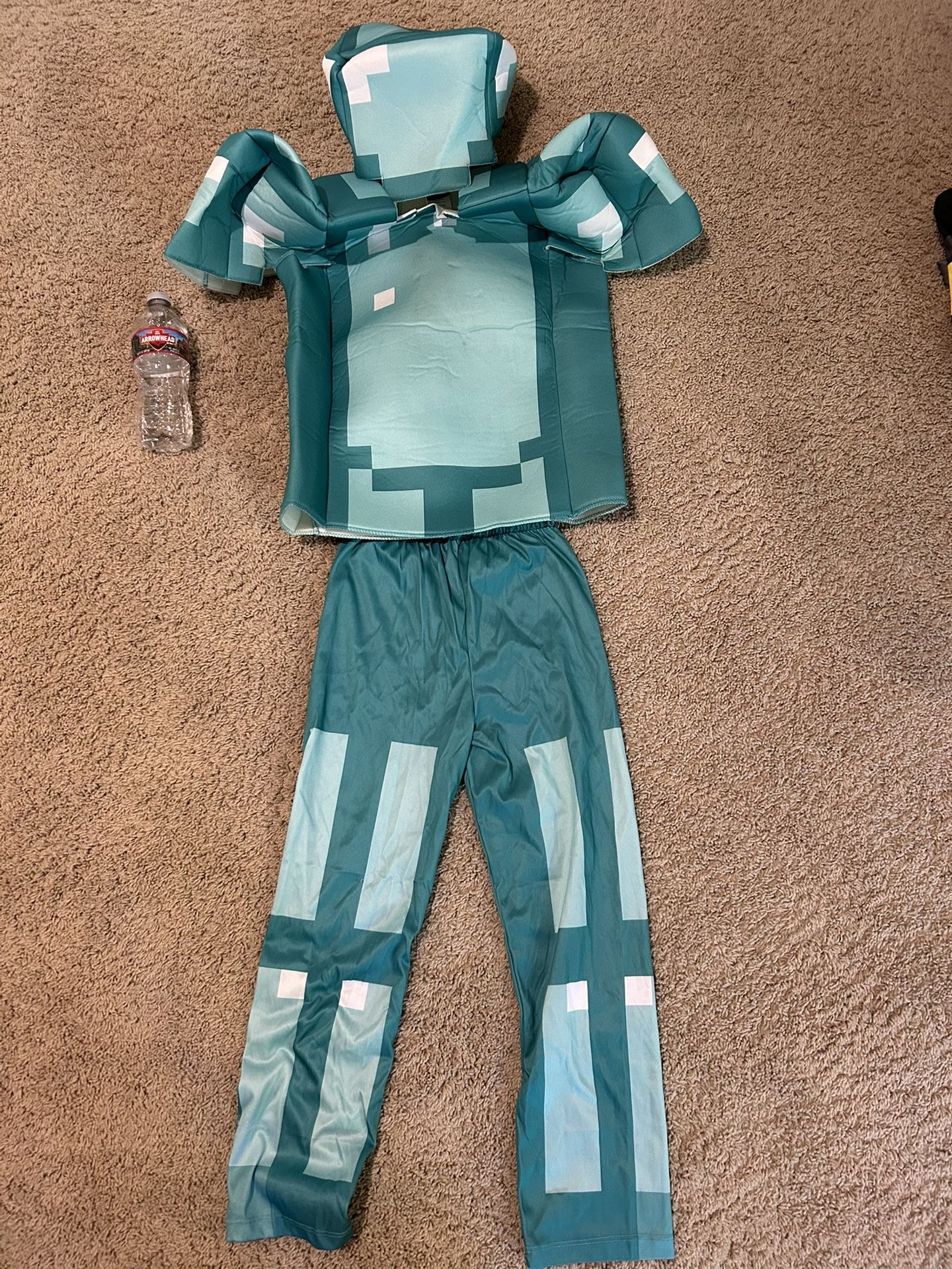 Halloween Costume - Minecraft