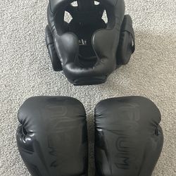 Venum Elite Evo Gloves + Headgear